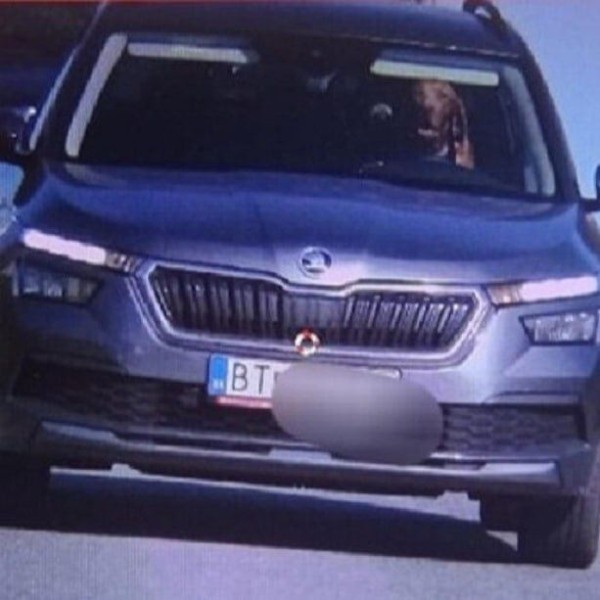 Собака за рулем превысила скорость в Словакии