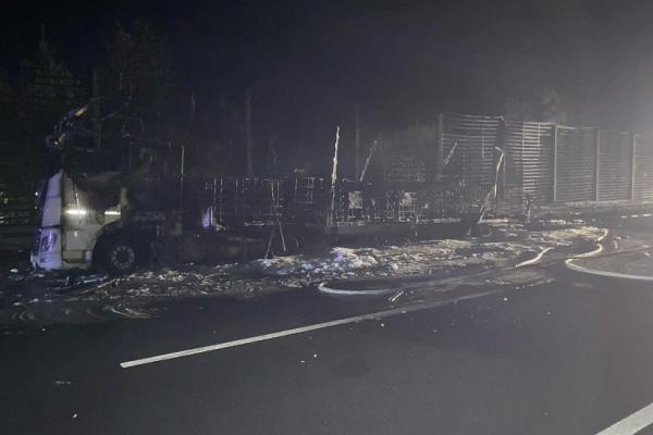 В Баварии сгорел грузовик под управлением белоруса